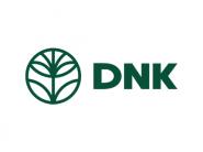 Акции в магазинах косметики DNK